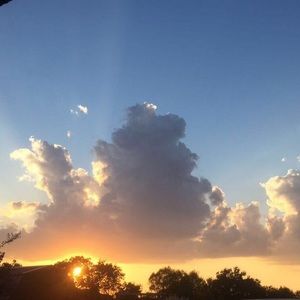 Meet your Posher, Casey